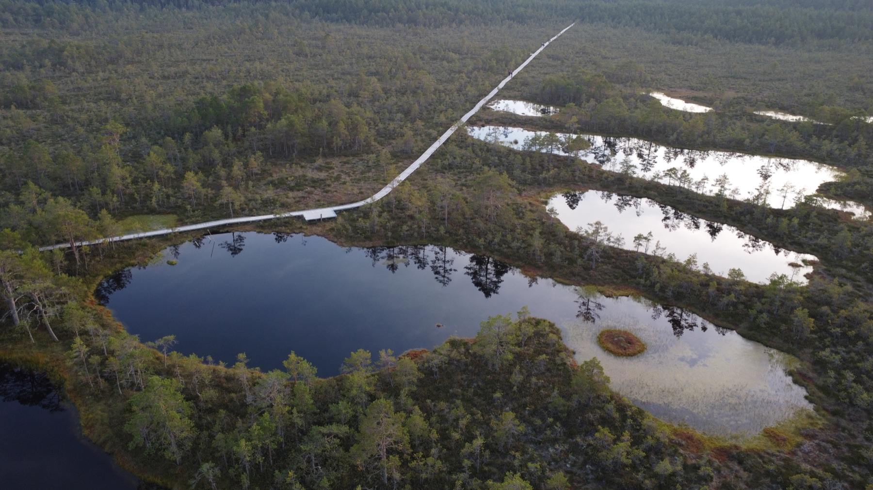 Aerial view of the Estonian peatland field site — bog pools and a boardwalk crossing the mire.